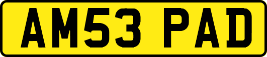 AM53PAD