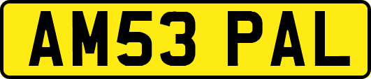 AM53PAL