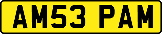 AM53PAM
