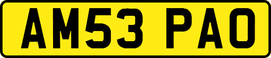 AM53PAO