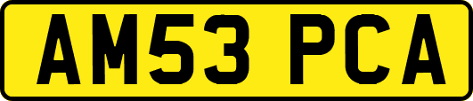 AM53PCA