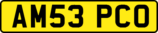 AM53PCO
