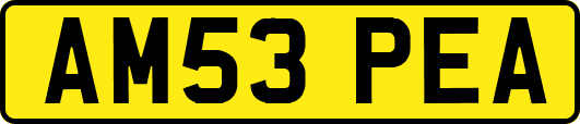 AM53PEA