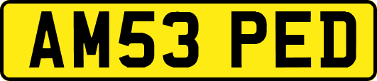 AM53PED