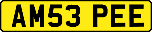 AM53PEE