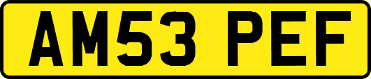 AM53PEF
