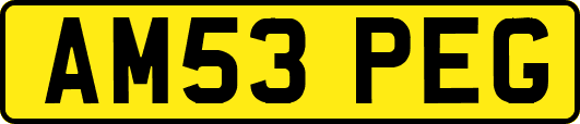 AM53PEG