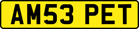 AM53PET