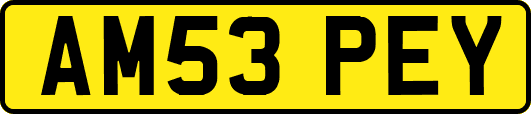 AM53PEY