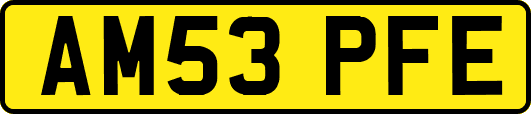 AM53PFE
