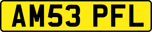 AM53PFL