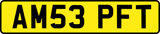 AM53PFT