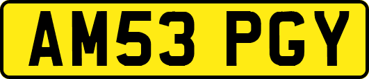 AM53PGY