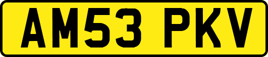 AM53PKV