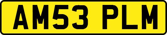AM53PLM