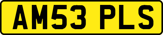 AM53PLS