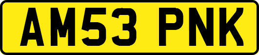 AM53PNK