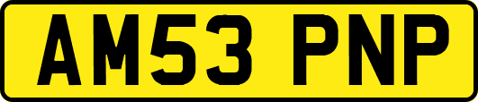 AM53PNP