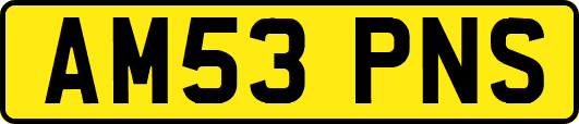 AM53PNS