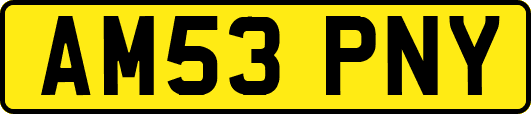 AM53PNY