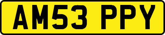 AM53PPY