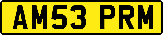 AM53PRM