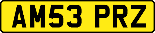 AM53PRZ