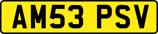 AM53PSV