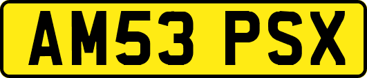 AM53PSX