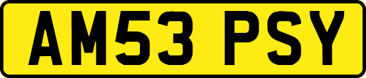 AM53PSY