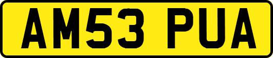 AM53PUA