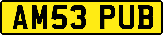 AM53PUB