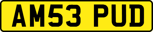 AM53PUD