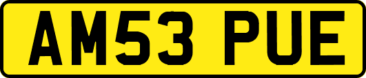 AM53PUE