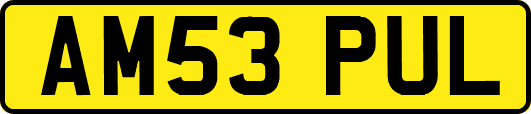 AM53PUL