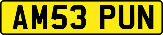 AM53PUN