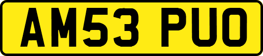 AM53PUO