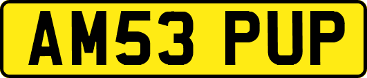 AM53PUP