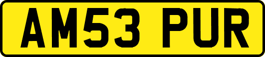 AM53PUR