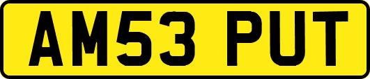 AM53PUT