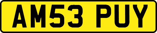 AM53PUY