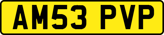 AM53PVP