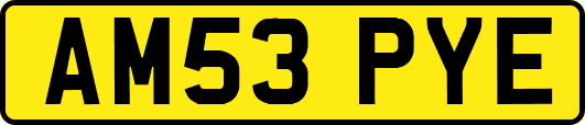 AM53PYE