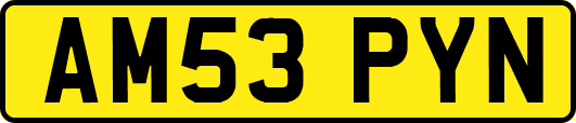 AM53PYN