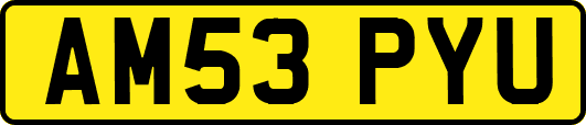 AM53PYU