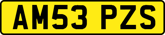 AM53PZS