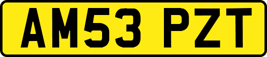AM53PZT