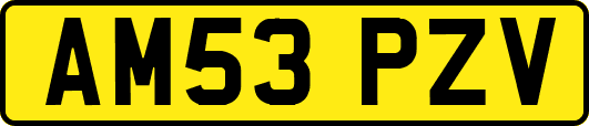 AM53PZV