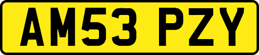 AM53PZY