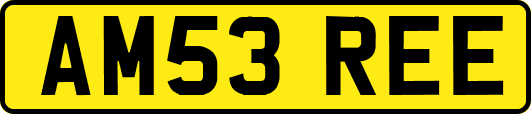 AM53REE
